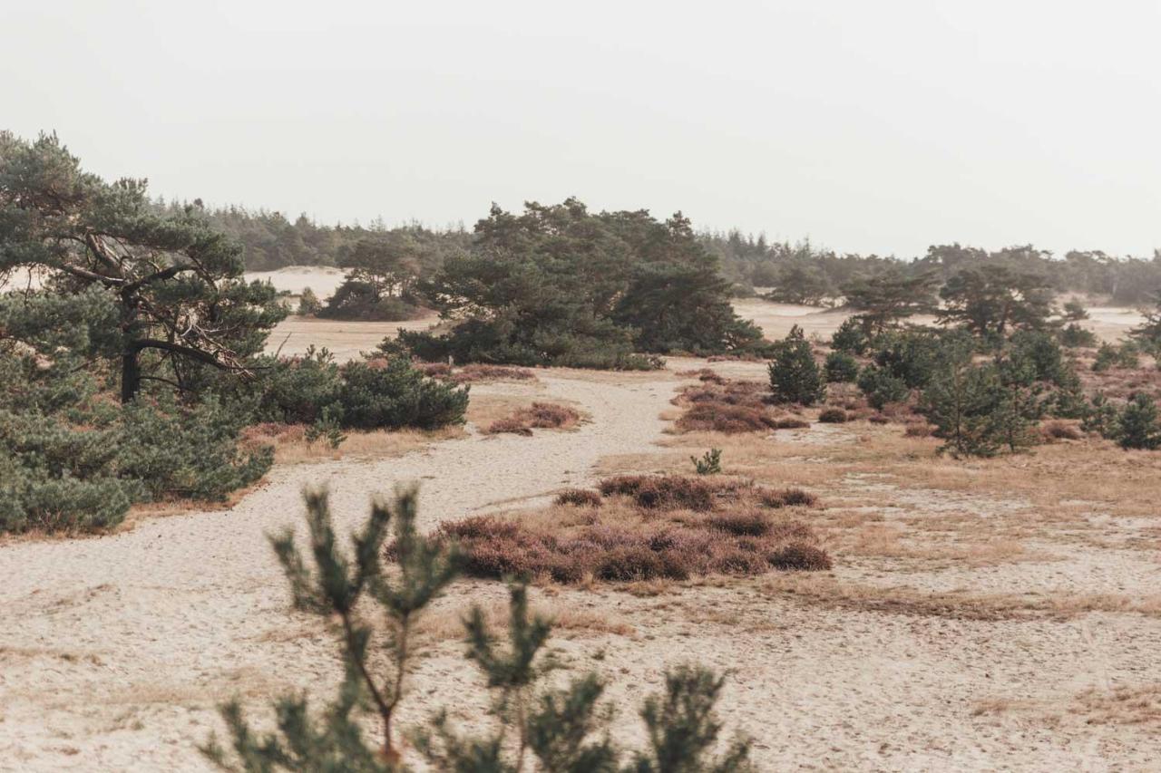 נונספייט Boshuisje Op De Veluwe מראה חיצוני תמונה